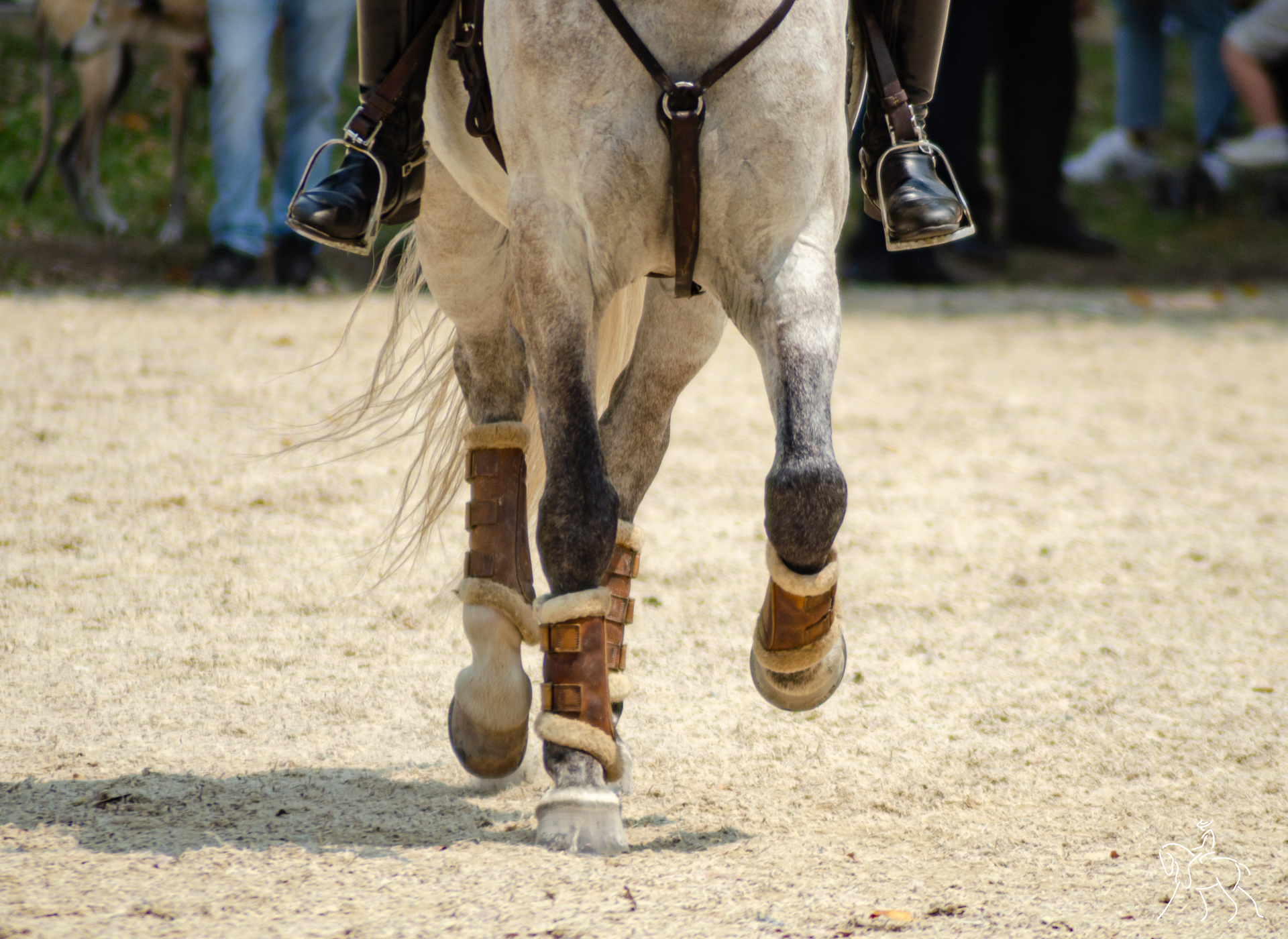 A close-up of a horse's legs in motion with brown leg wraps.