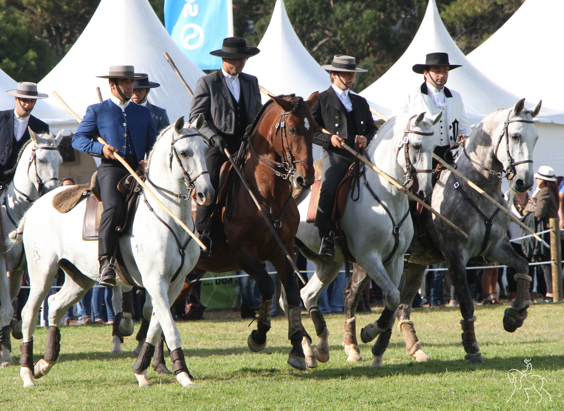 A group of Iberian riders in traditional dress on horseback at a working-equitation event.