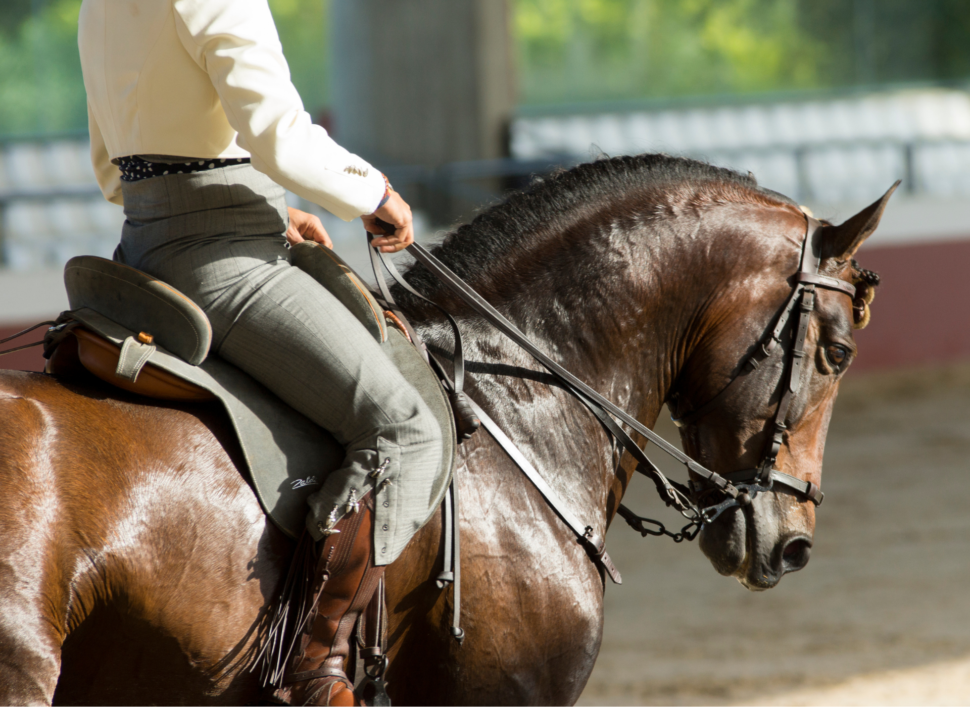 A bay horse from behind in dressage tack on a working-equitation court.
