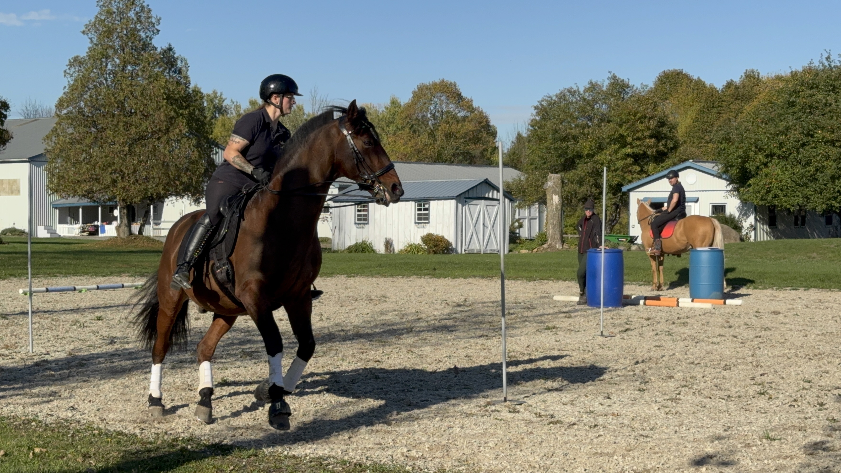 Riders schooling at a Working Equitation Quinte clinic.