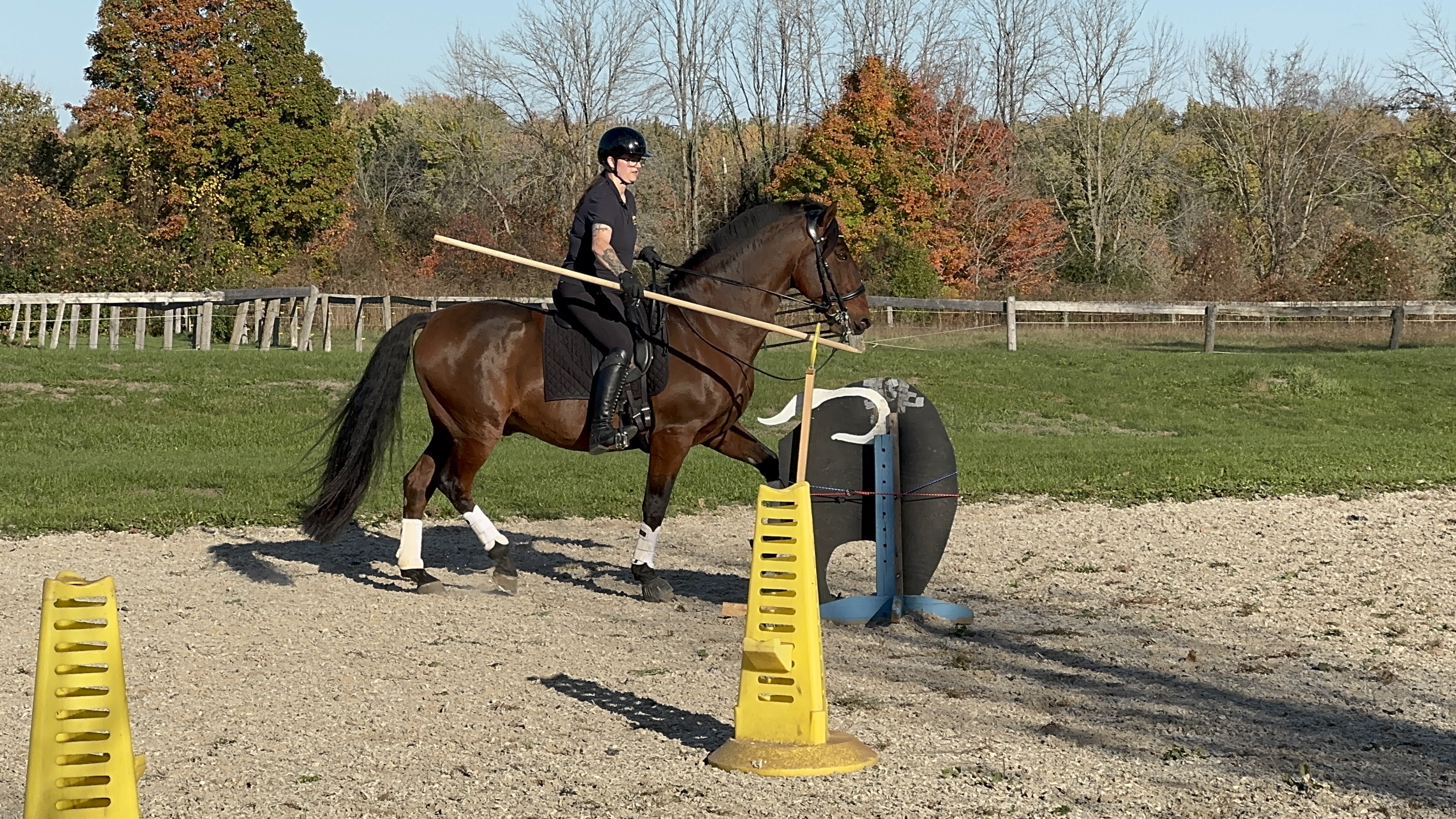 A rider carrying the garrocha pole, a signature Ease of Handling obstacle.