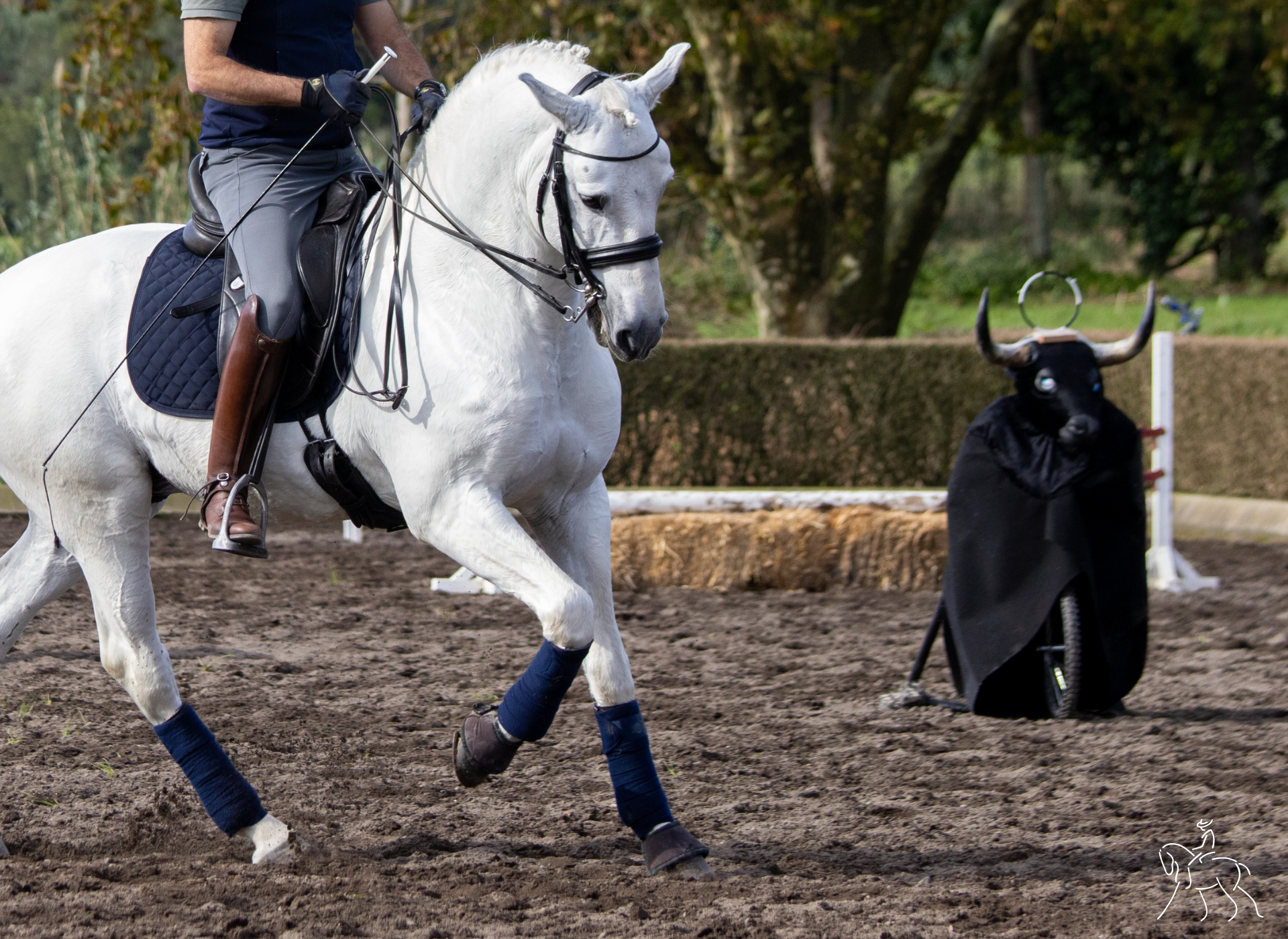 A grey horse and rider working a wooden bull target.
